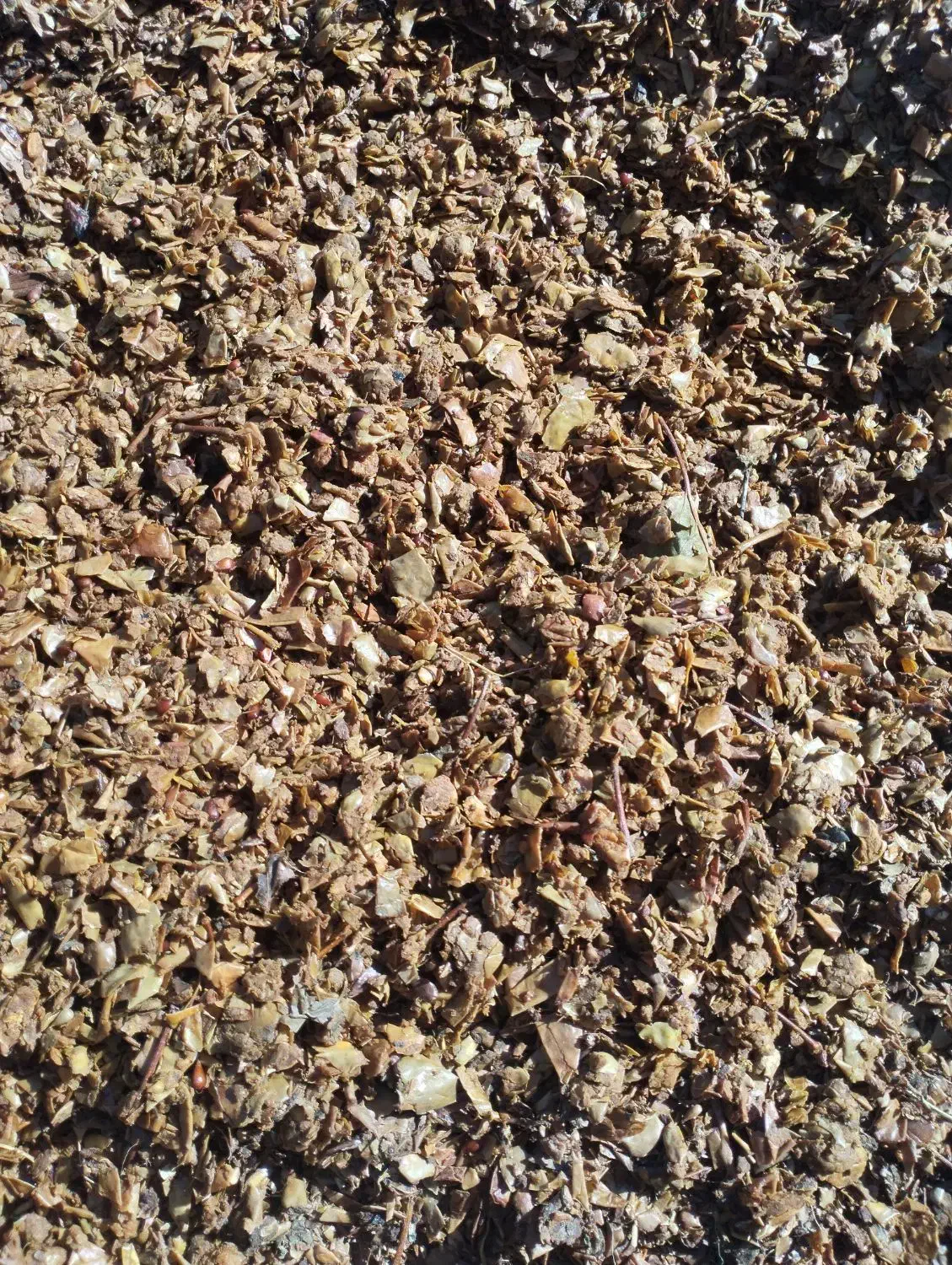 تفاله سیب خشک خشک|حیوانات مزرعه|چهاربرج, |دیوار