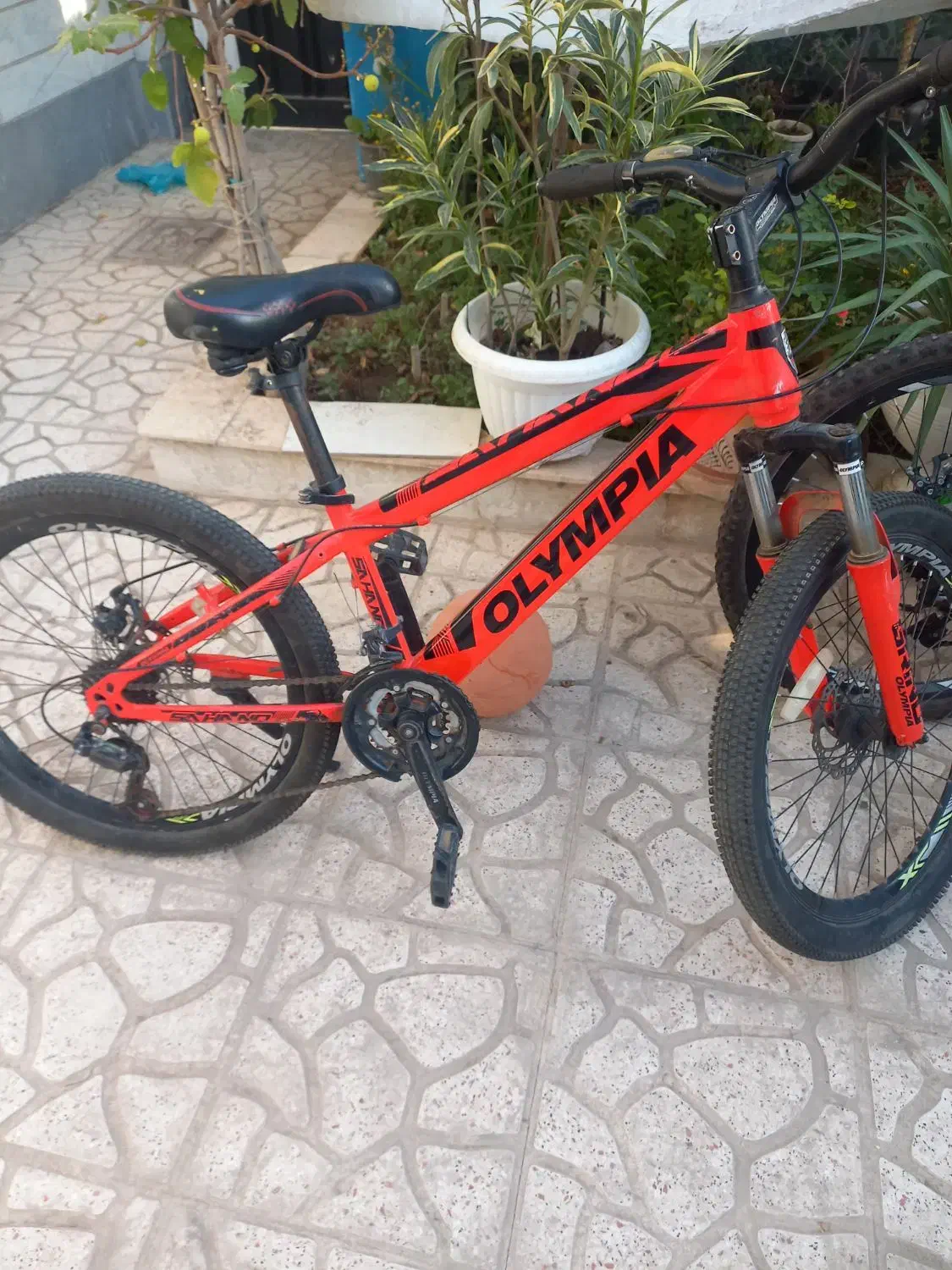 دوچرخه حرفه ای|دوچرخه، اسکیت، اسکوتر|قزوین, |دیوار