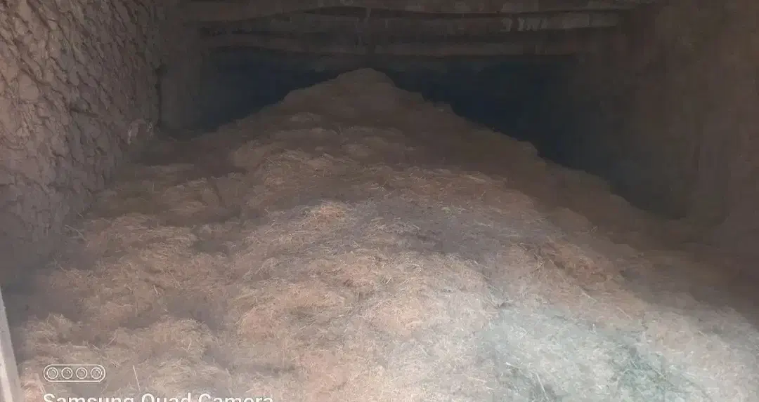 توافقی|لوازم جانبی حیوانات|تویسرکان, |دیوار