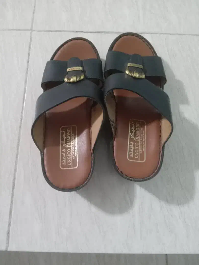 دمپایی عربی|کیف، کفش، کمربند|جهرم, |دیوار