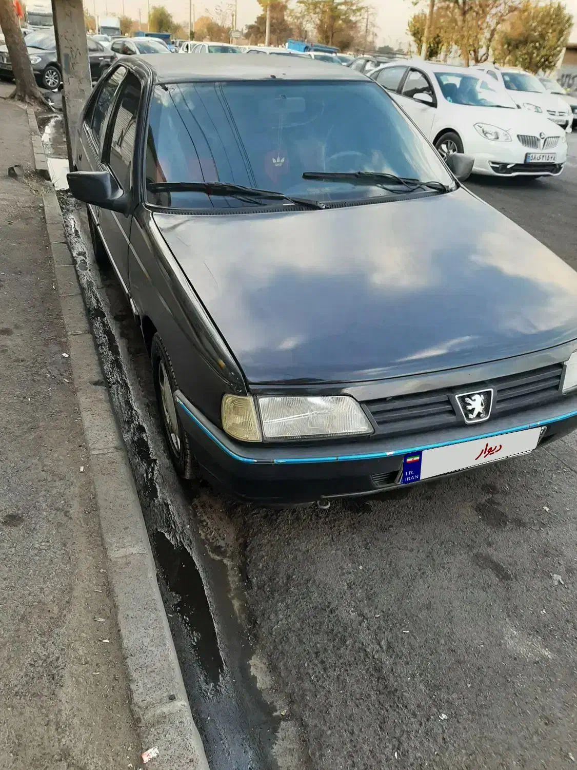 پژو ۴۰۵ مدل ۸۳|خودرو سواری و وانت|کرج, میدان میوه و تره بار مرکزی|دیوار