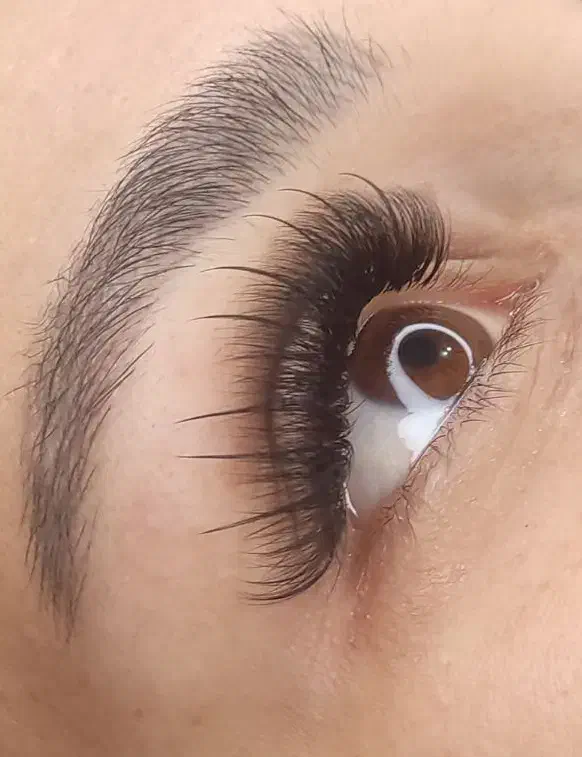 به یک نفر پرسنل مژه کار حرفه ای نیاز دارم|استخدام درمانی، زیبایی، بهداشتی|نجفآباد, امیرکبیر|دیوار