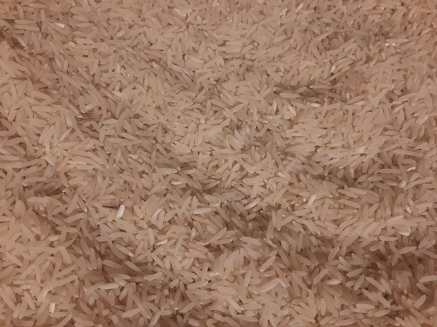 فروش برنج های فجر ،شمیم و گهر|خوردنی و آشامیدنی|یاسوج, |دیوار