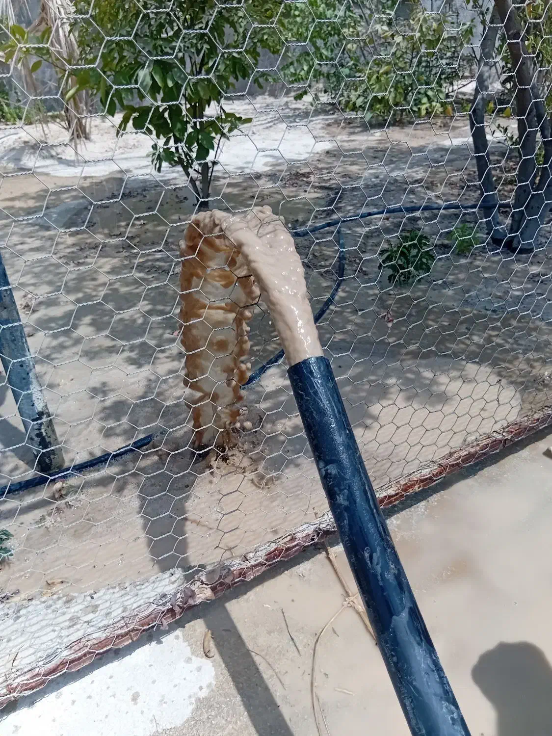 چاه کن|خدمات پیشه و مهارت|بوشهر, |دیوار