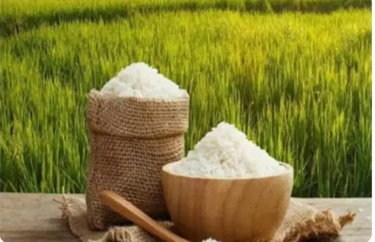 برنج کامفیروزی|خوردنی و آشامیدنی|شیراز, تاچارا|دیوار