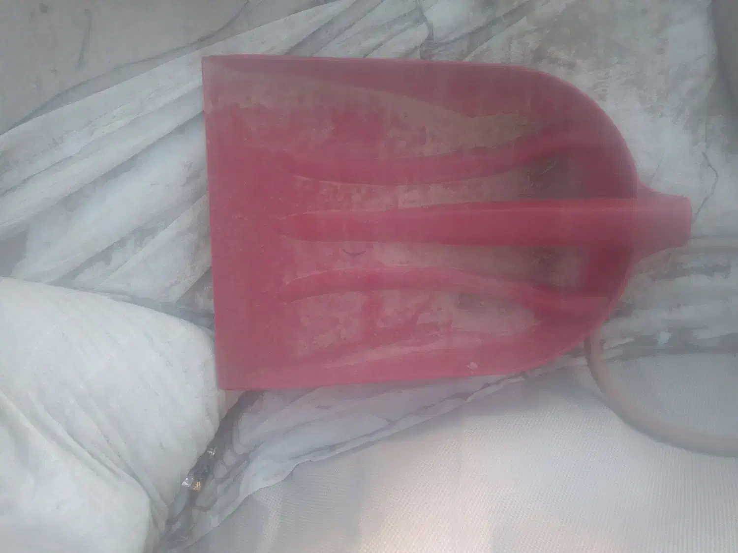 گمشده پارو|حیوانات|اندیمشک, |دیوار