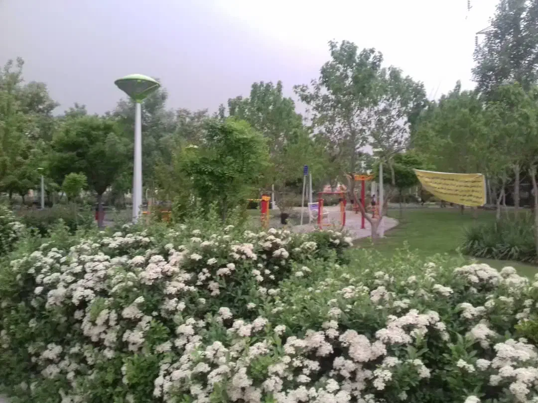 110 متر سند ششدانگ استاد یوسفی 20 طبقه دوم|فروش آپارتمان|مشهد, استاد یوسفی (شهرک غرب)|دیوار