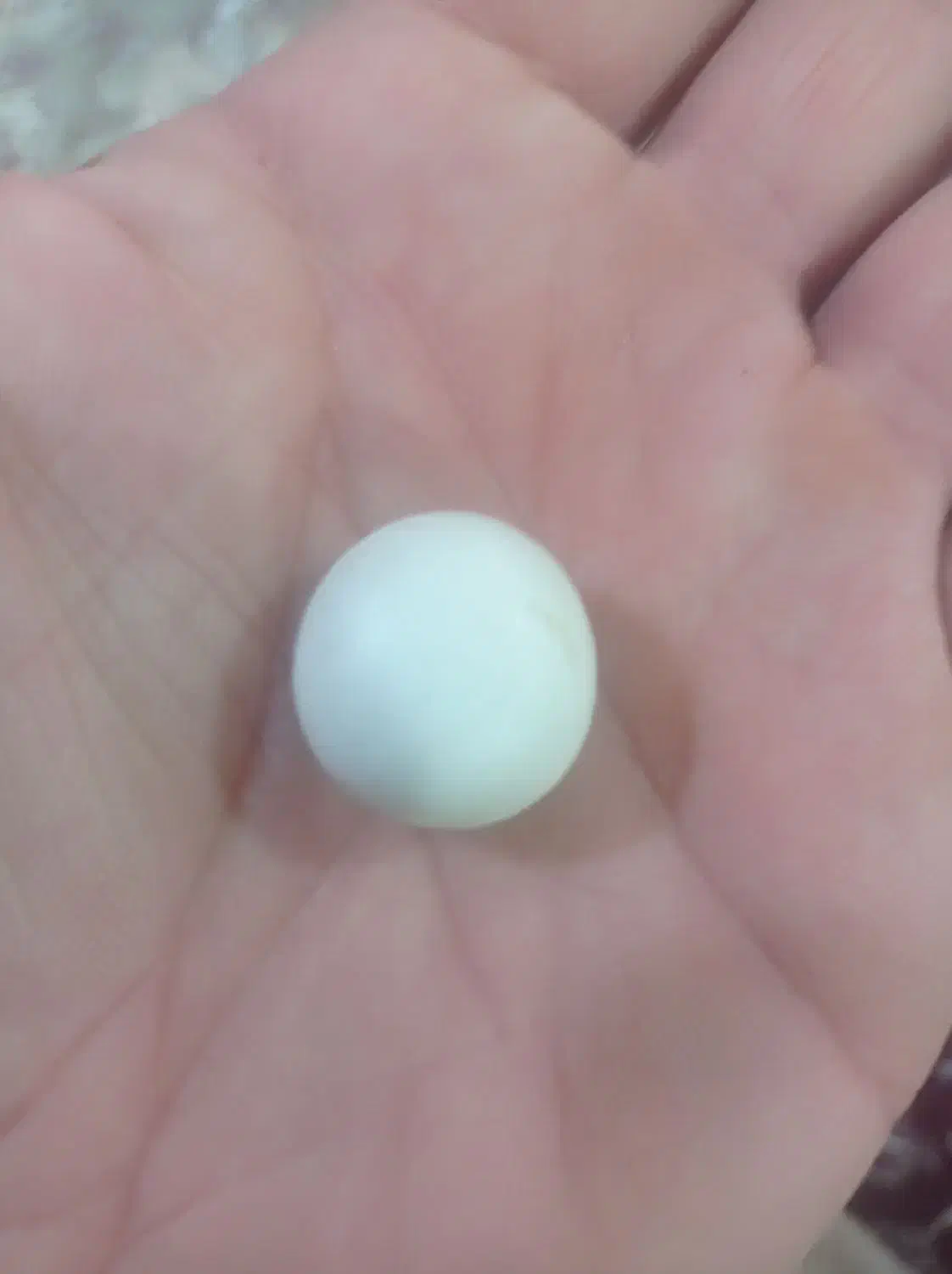 سنگ زینتی|کلکسیون اشیاء عتیقه|شوط, |دیوار