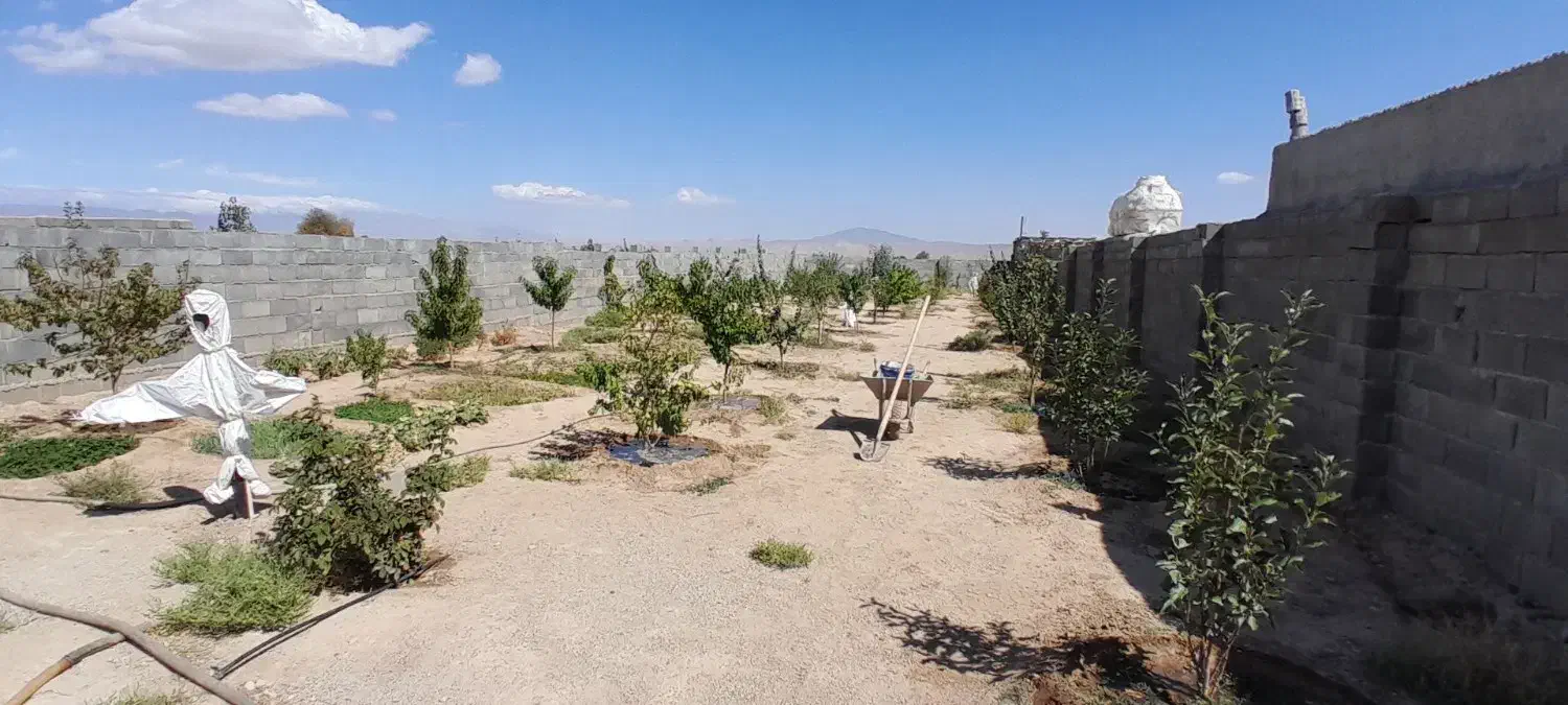 فروش باغ روبروی شهرک رضوی بسطام|فروش زمین و ملک کلنگی|بسطام, |دیوار