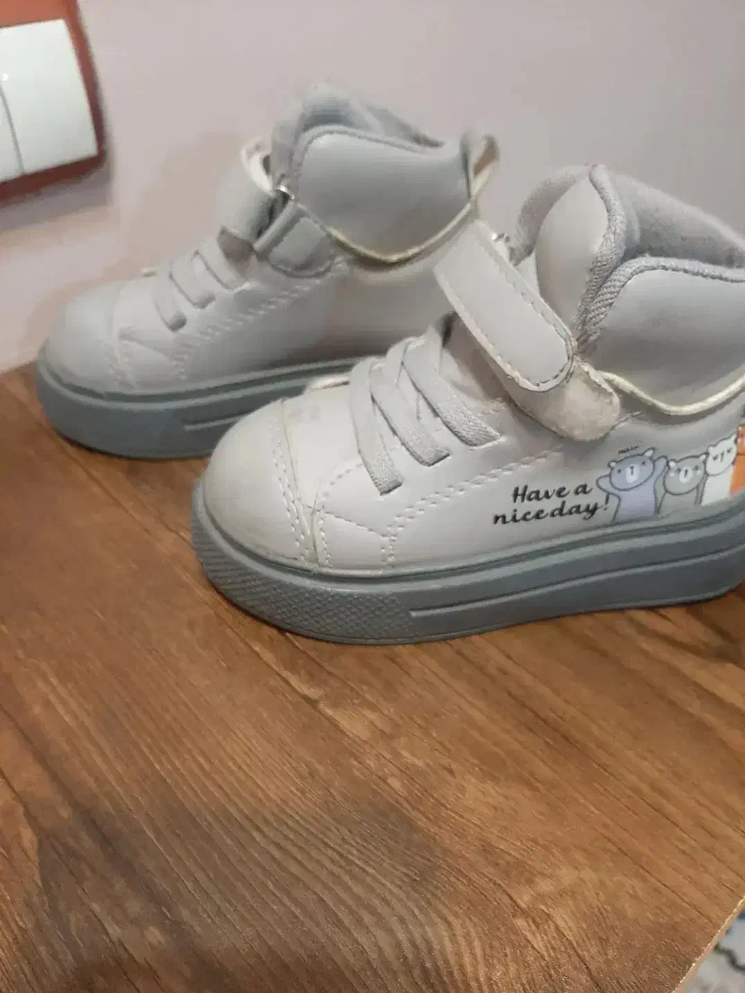 کفش|کیف، کفش، کمربند|گرگان, |دیوار