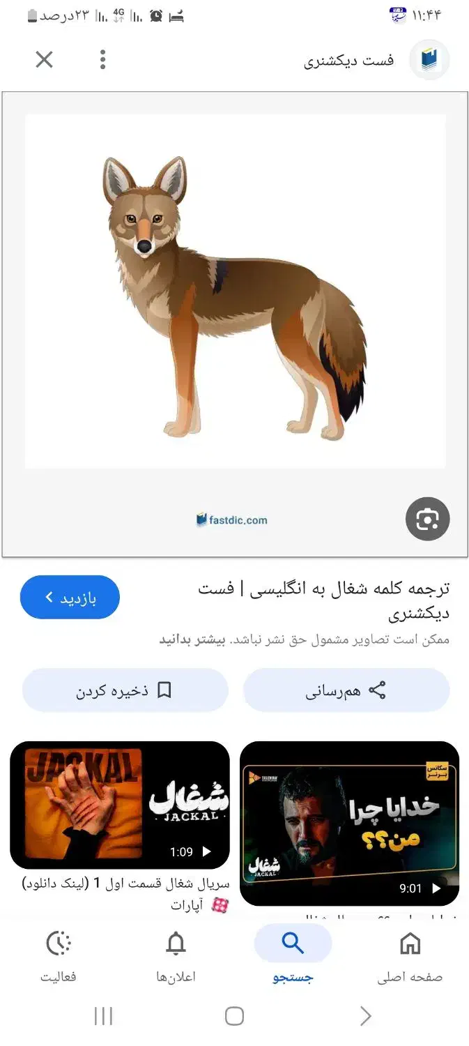 کره شغال پیداشده دستی هست|حیوانات|خمینی‌شهر, |دیوار