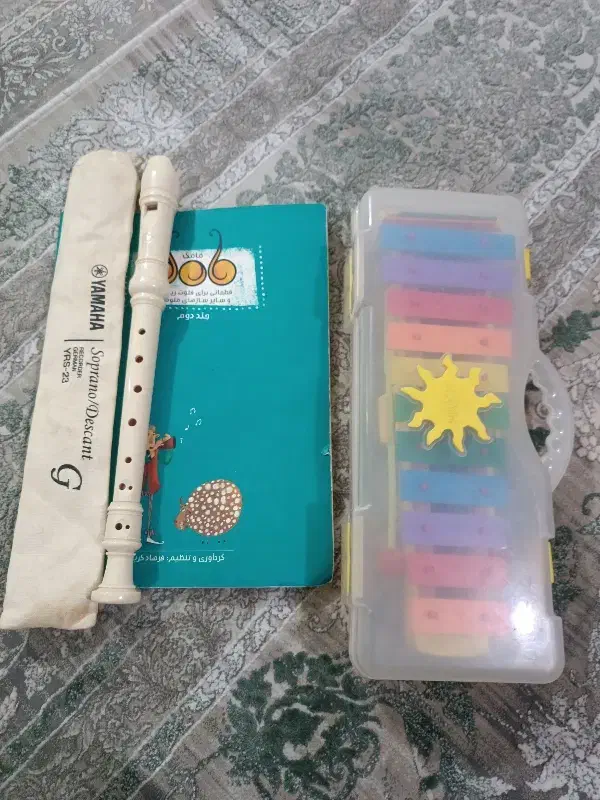 بلز و فلوت همراه کتاب|سازهای بادی|همدان, |دیوار