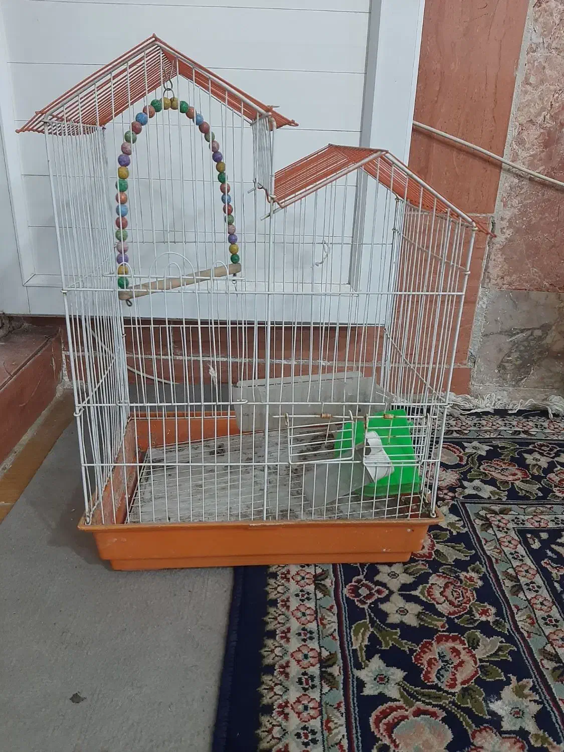 قفس پرنده|لوازم جانبی حیوانات|مشهد, کوی سیدی|دیوار