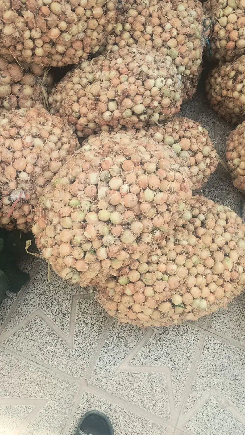 پباز درجه یک|خوردنی و آشامیدنی|شیروان (خراسان), |دیوار