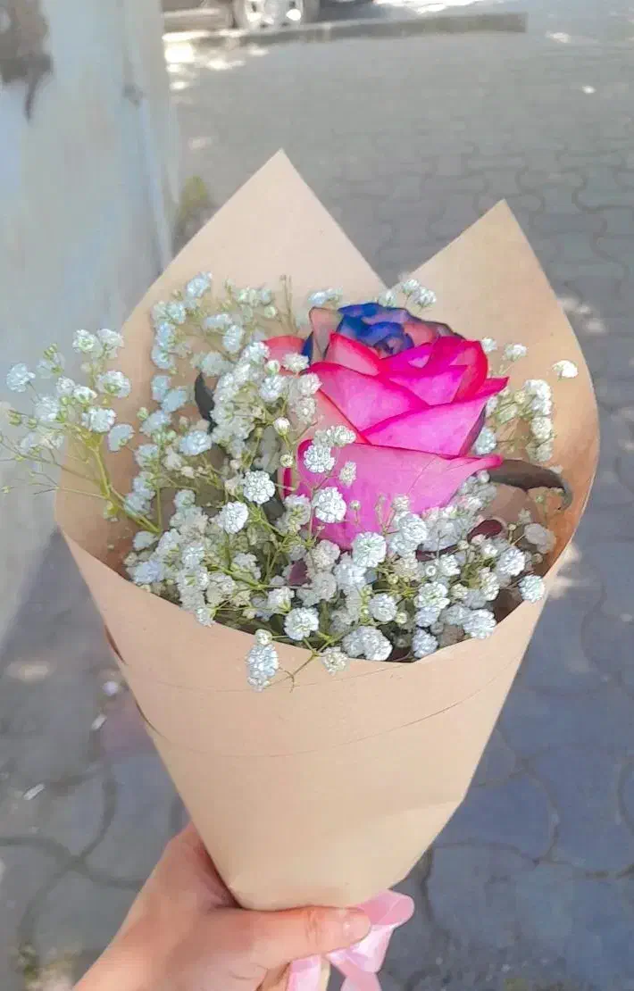 جویای کار|صنایع دستی و سایر لوازم تزئینی|رشت, سلیمانداراب|دیوار