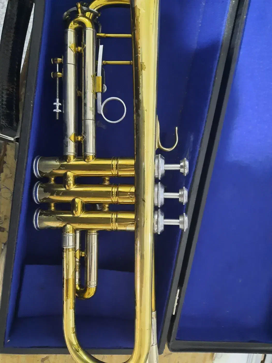 ترومپت لارک ۴۰۱۵|سازهای بادی|برخوار, |دیوار