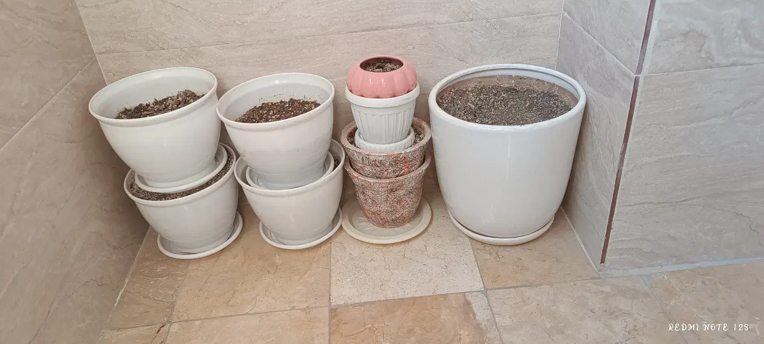 گلدان|گل و گیاه طبیعی|پاکدشت, حصار امیر|دیوار