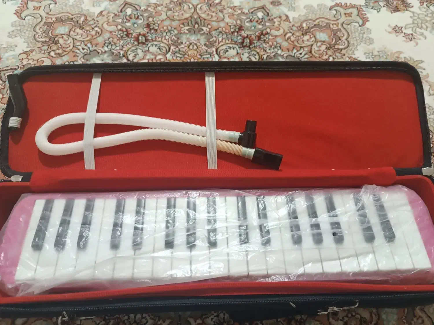 ملودیکا نومدل سوان|پیانو، کیبورد، آکاردئون|سنندج, |دیوار