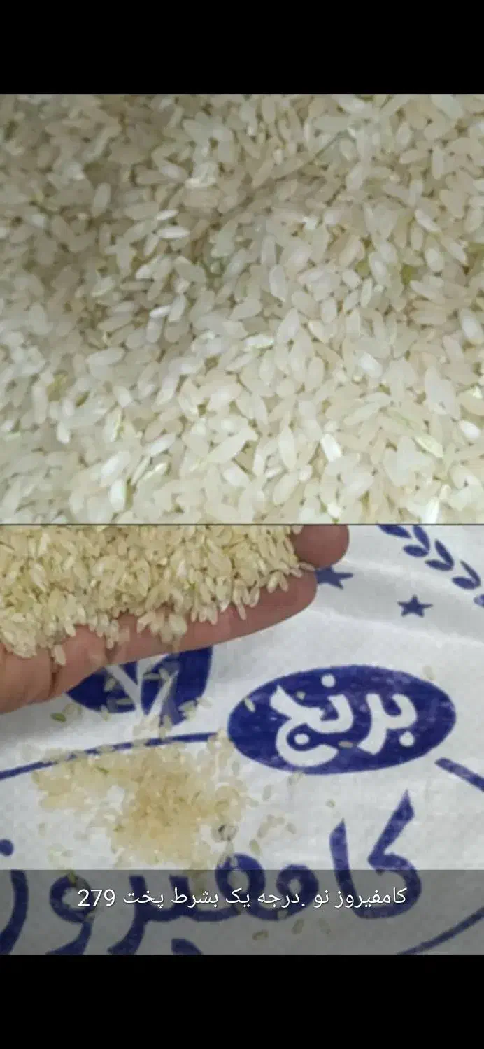 برنج کامفیروزی|خوردنی و آشامیدنی|شیراز, شهرک ترکان|دیوار