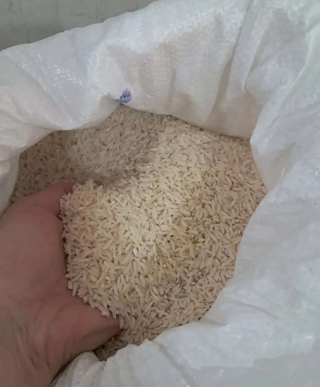 برنج تازه شمالی قیمت مناسب|خوردنی و آشامیدنی|اردبیل, |دیوار