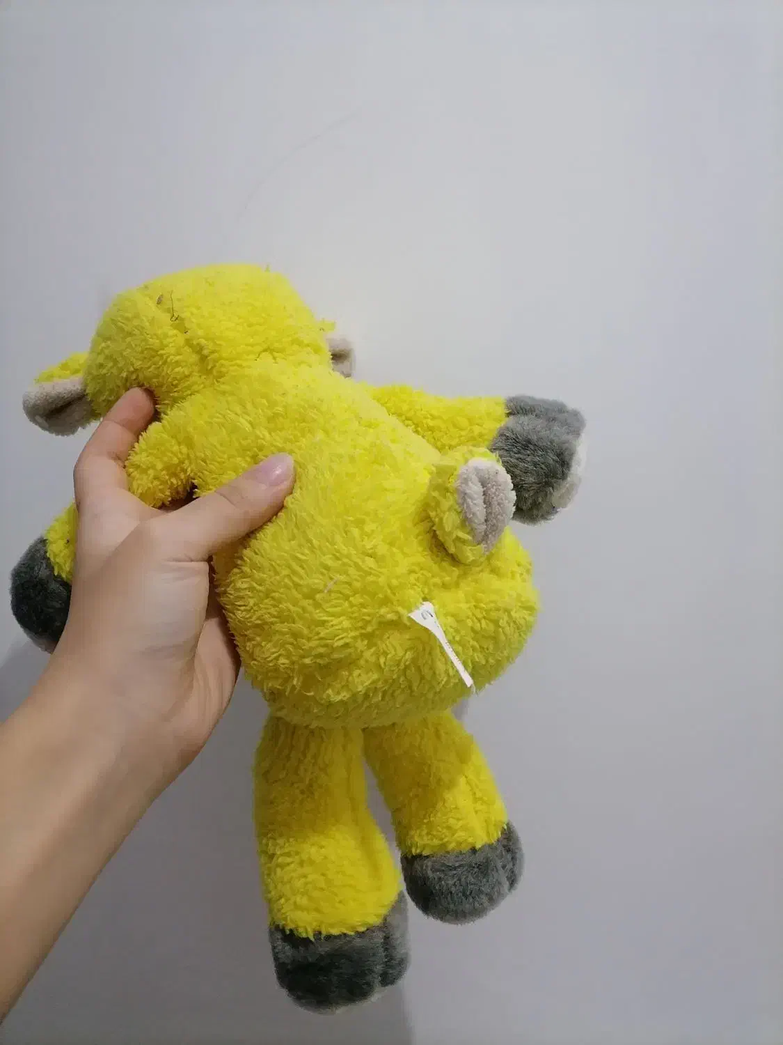 عروسک|اسباب‌بازی بچه|تبریز, |دیوار