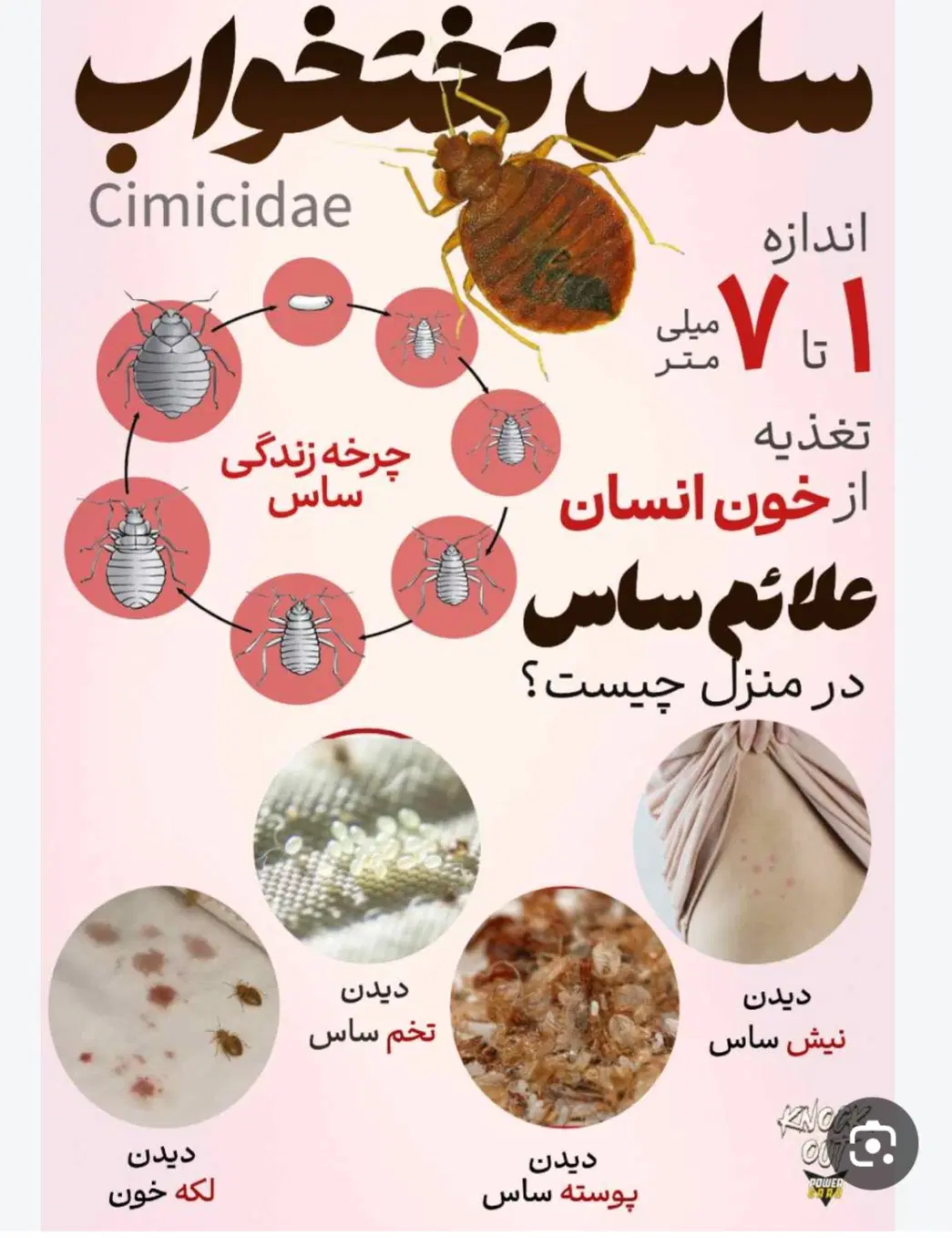سمپاشی پاسداران، فرمانیه الهیه نیاوران جردن تجریش|خدمات نظافت|تهران, خاوران|دیوار