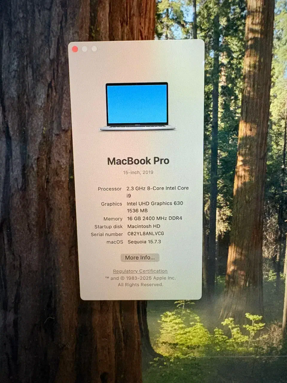 mac book pro 2019|رایانه همراه|تهران, مشیریه|دیوار