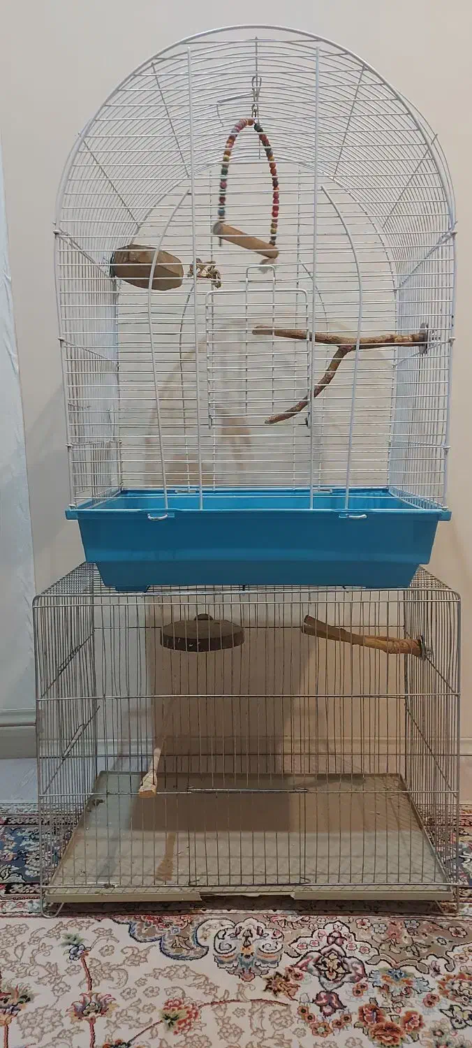 قفس پرنده|لوازم جانبی حیوانات|تهران, مرزداران|دیوار