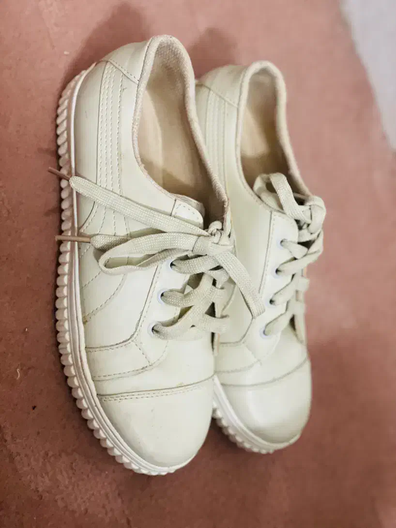 کفش اسپرت|کیف، کفش، کمربند|نیشابور, امام خمینی|دیوار