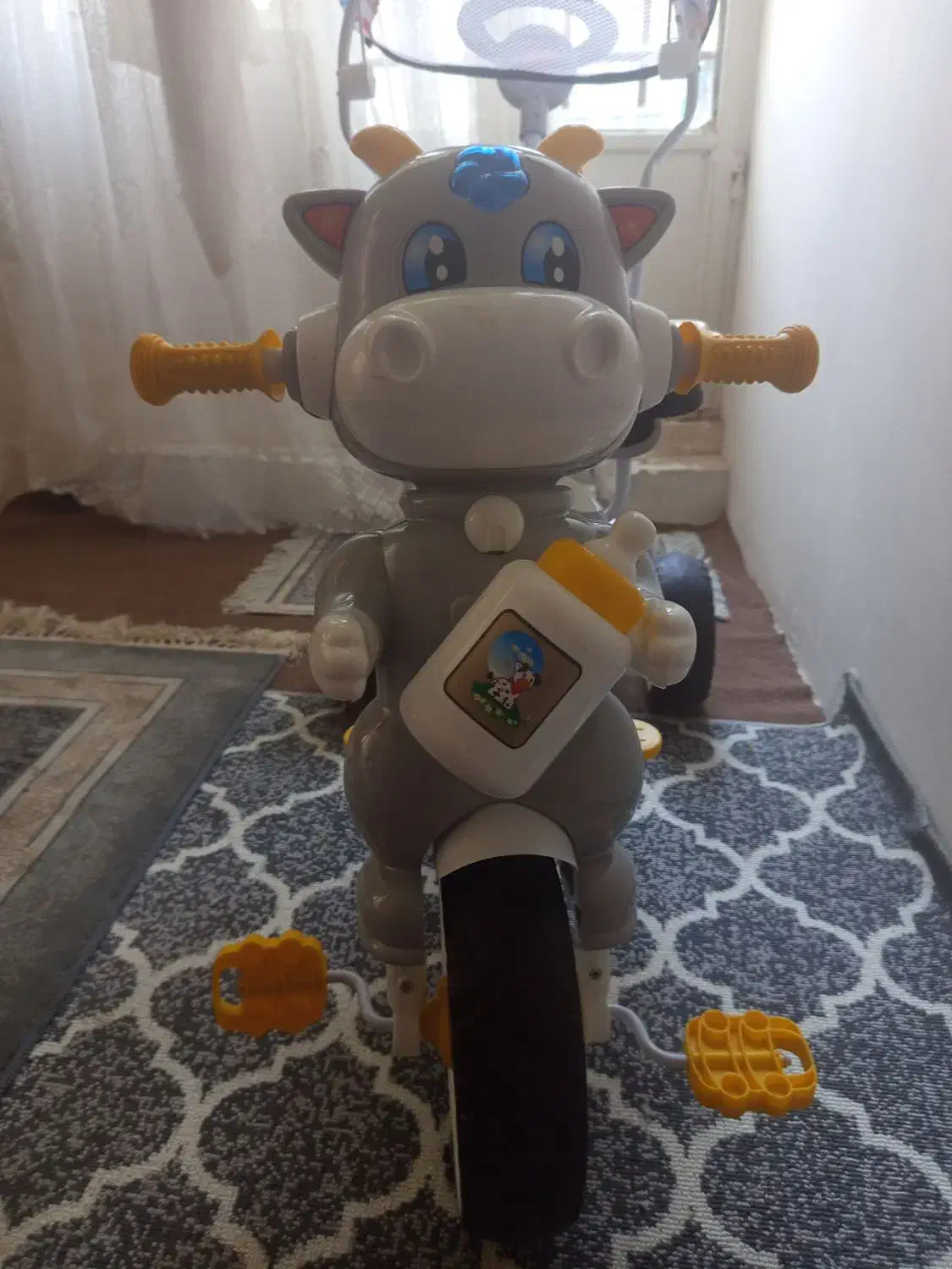 دوچرخه ماتادور دلیجان|کالسکه و لوازم جانبی|مشهد, رده|دیوار