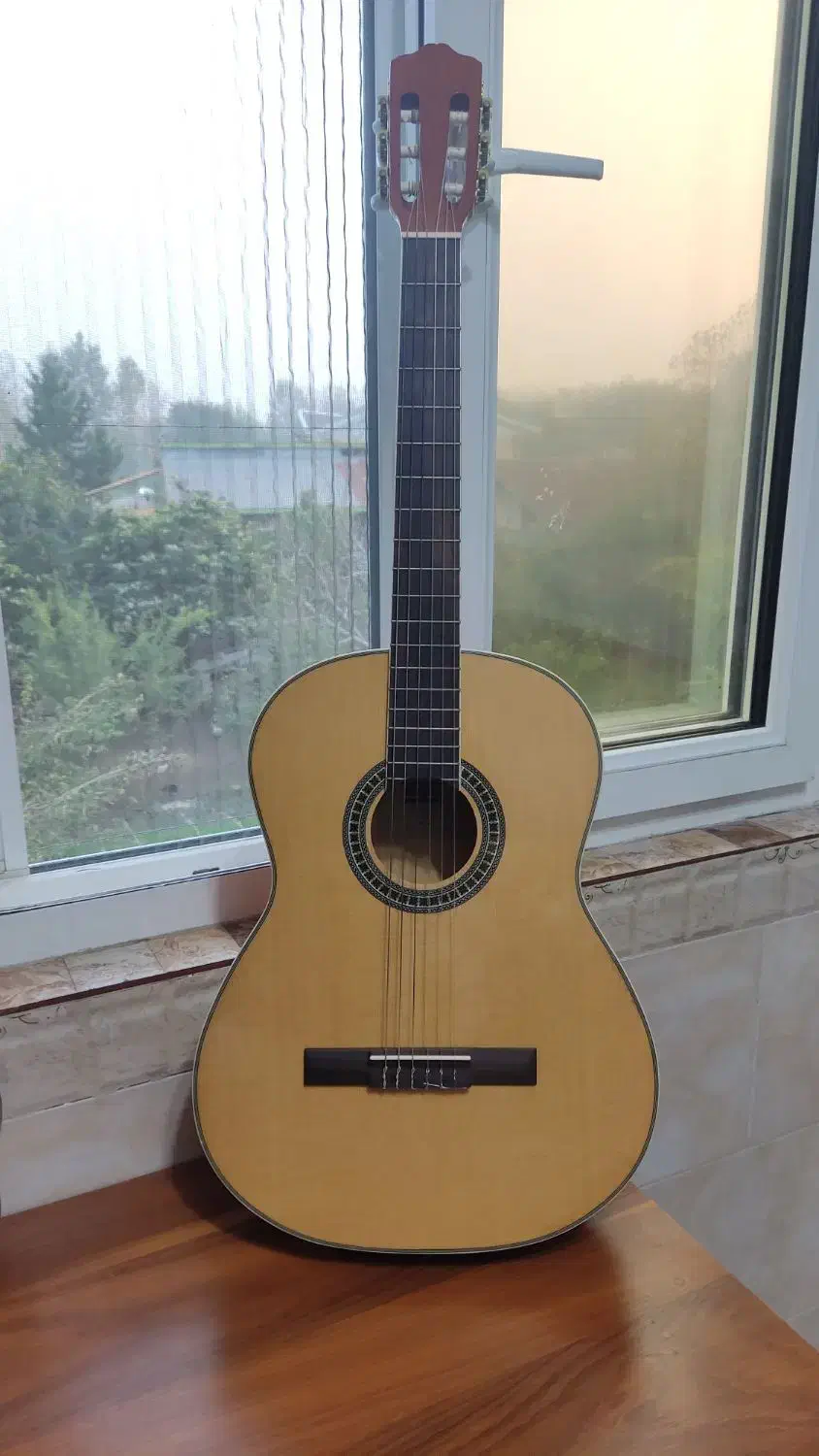 گیتار کلاسیک بنبرگ|گیتار، بیس، امپلیفایر|لشت نشا, |دیوار