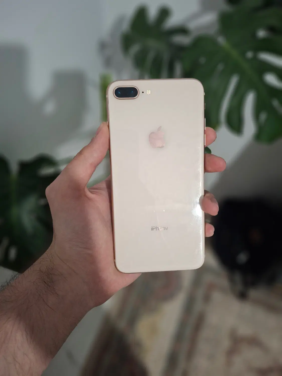 iPhone 8 Plus|موبایل|نیشابور, هفده شهریور|دیوار