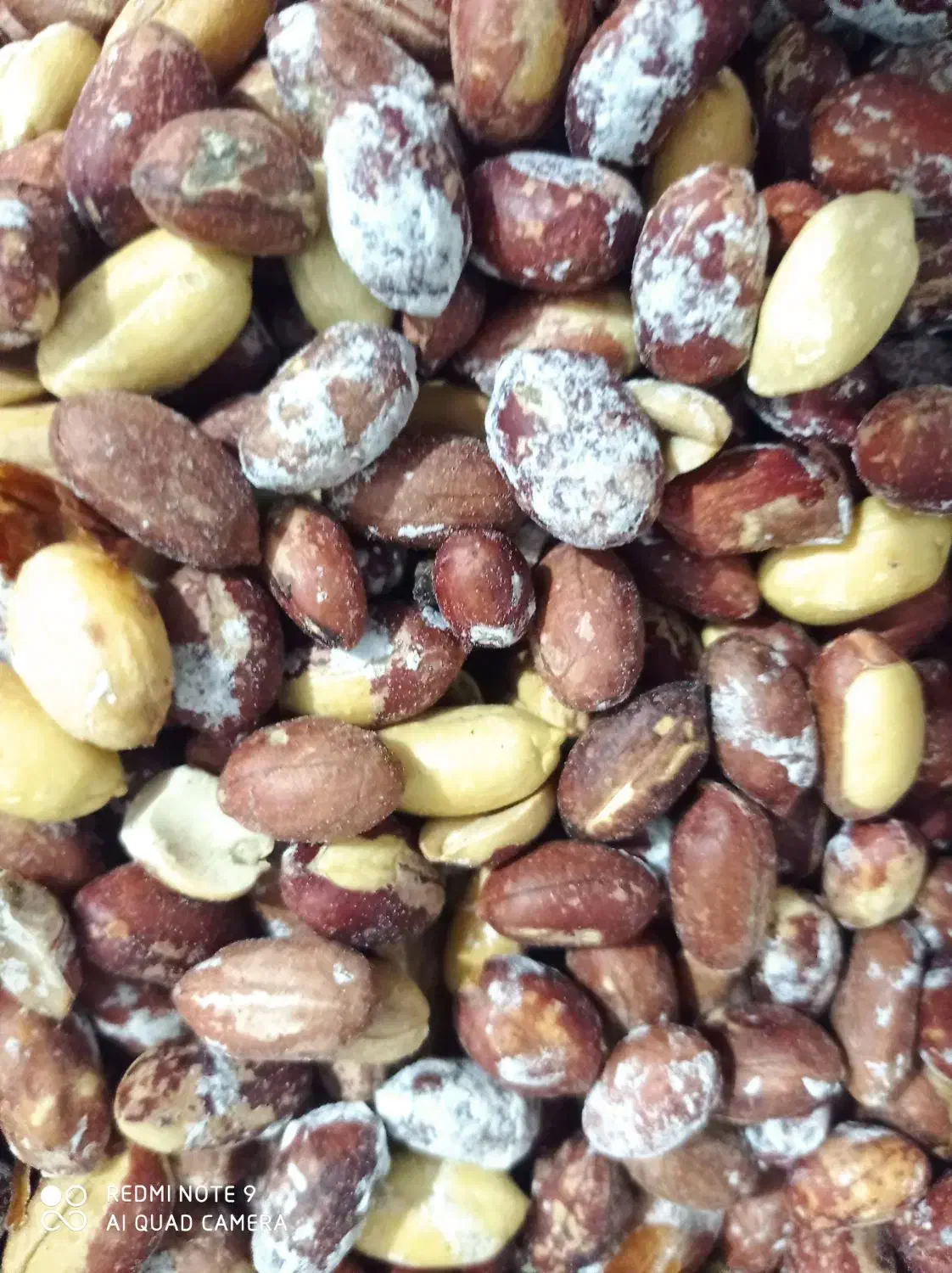 بادام زمینی محلی|خوردنی و آشامیدنی|مینودشت, |دیوار