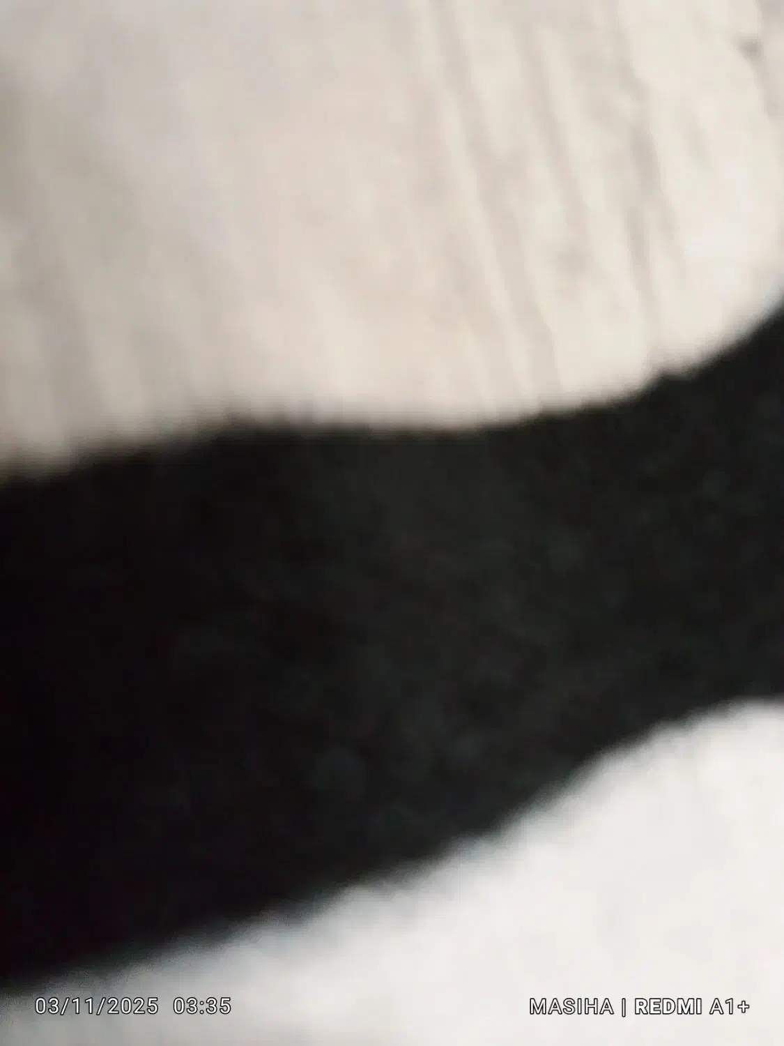 سگ پا کوتاه پیدا شده|حیوانات|رشت, حمیدیان|دیوار