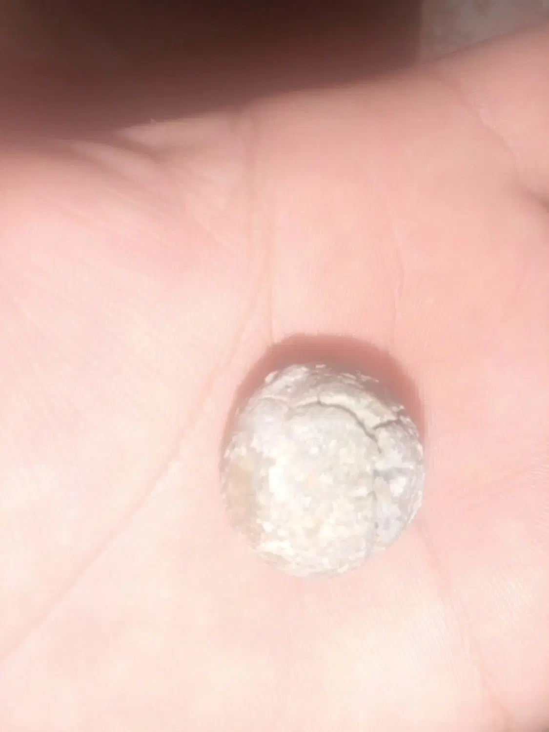 شهاب سنگ|کلکسیون اشیاء عتیقه|مشهد, موعود|دیوار