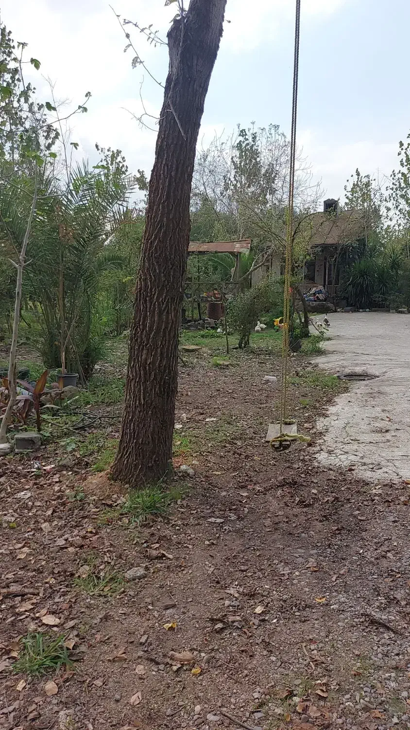 یک باب خانه کلنگی با زمین|فروش زمین و ملک کلنگی|رشت, بیجارپس|دیوار