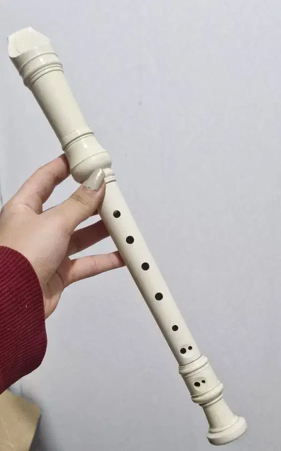 فلوت 21 یاماها ۴۰۰|سازهای بادی|شیراز, زند|دیوار