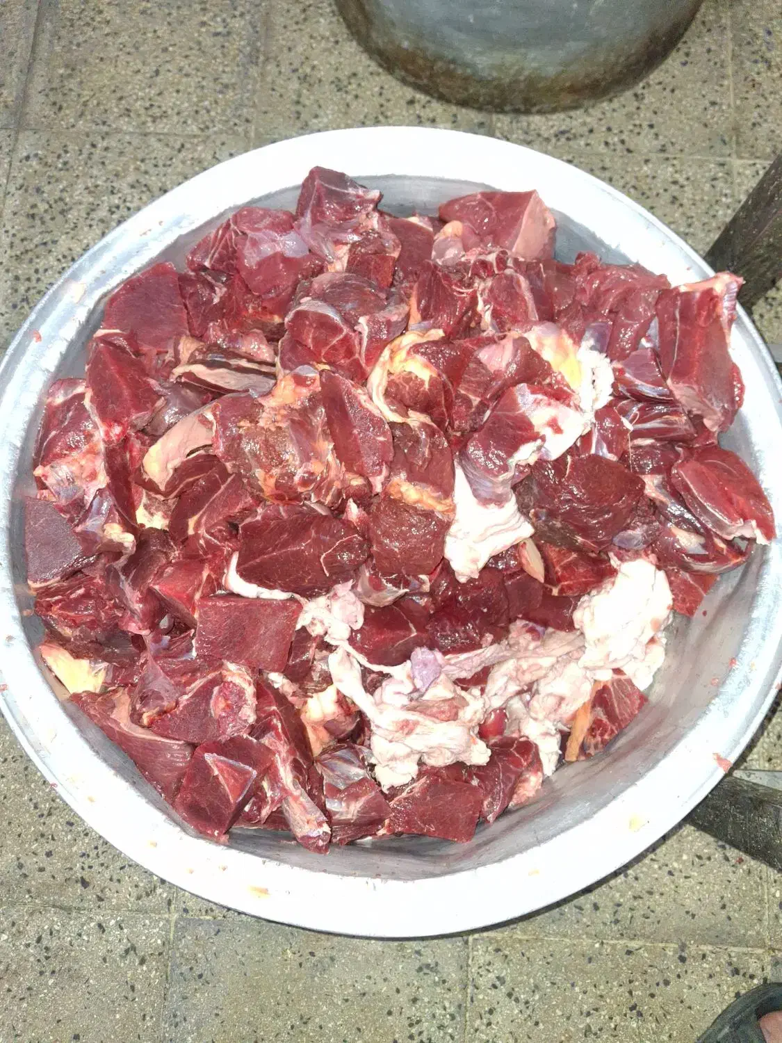 پخش عمده نخودی کوبیده|خوردنی و آشامیدنی|قم, باغ شریفی|دیوار