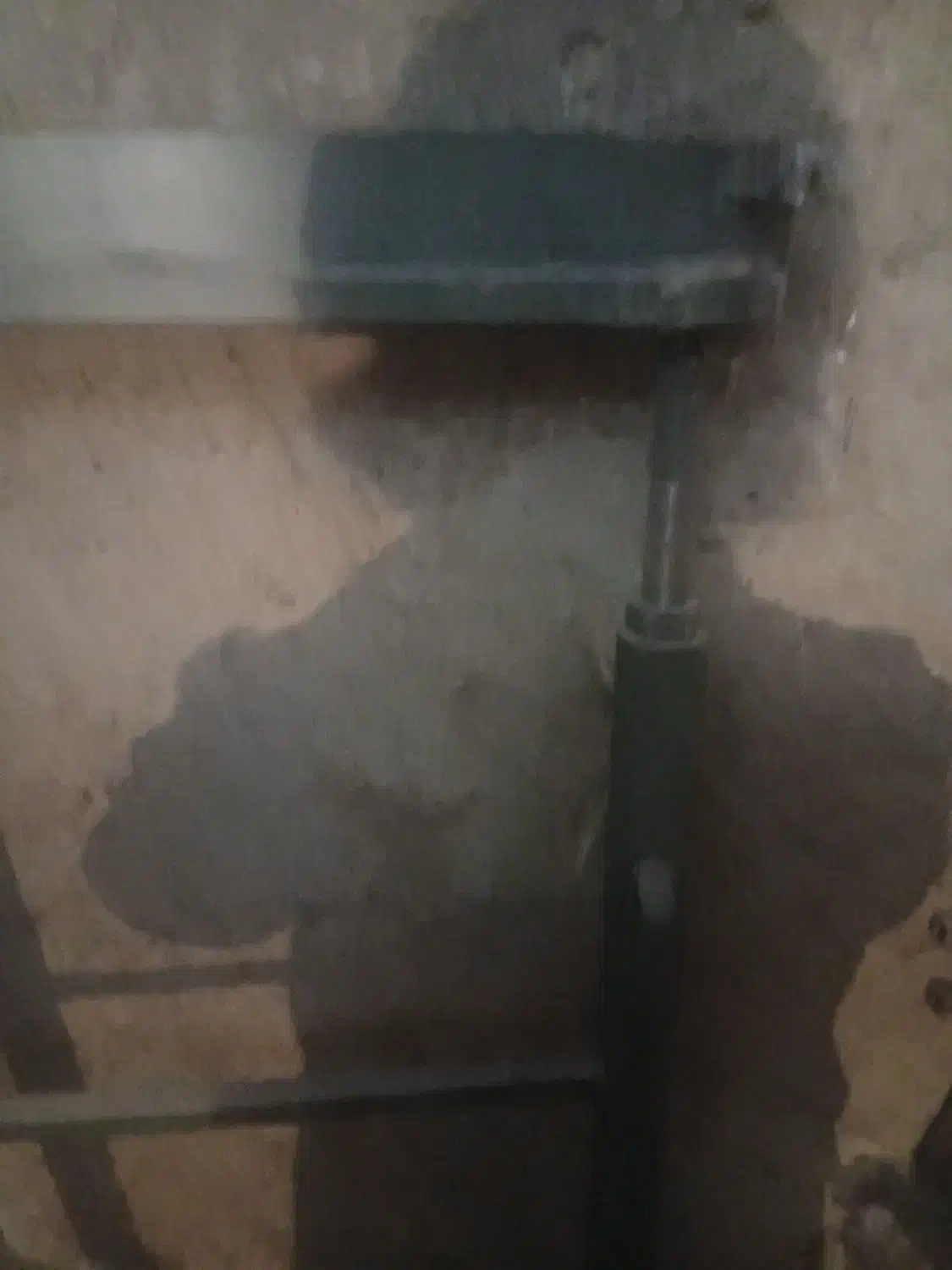 حانای عالی به همراه نخ فرش پا دری طرح ریز ماهی|فرش|اردبیل, |دیوار