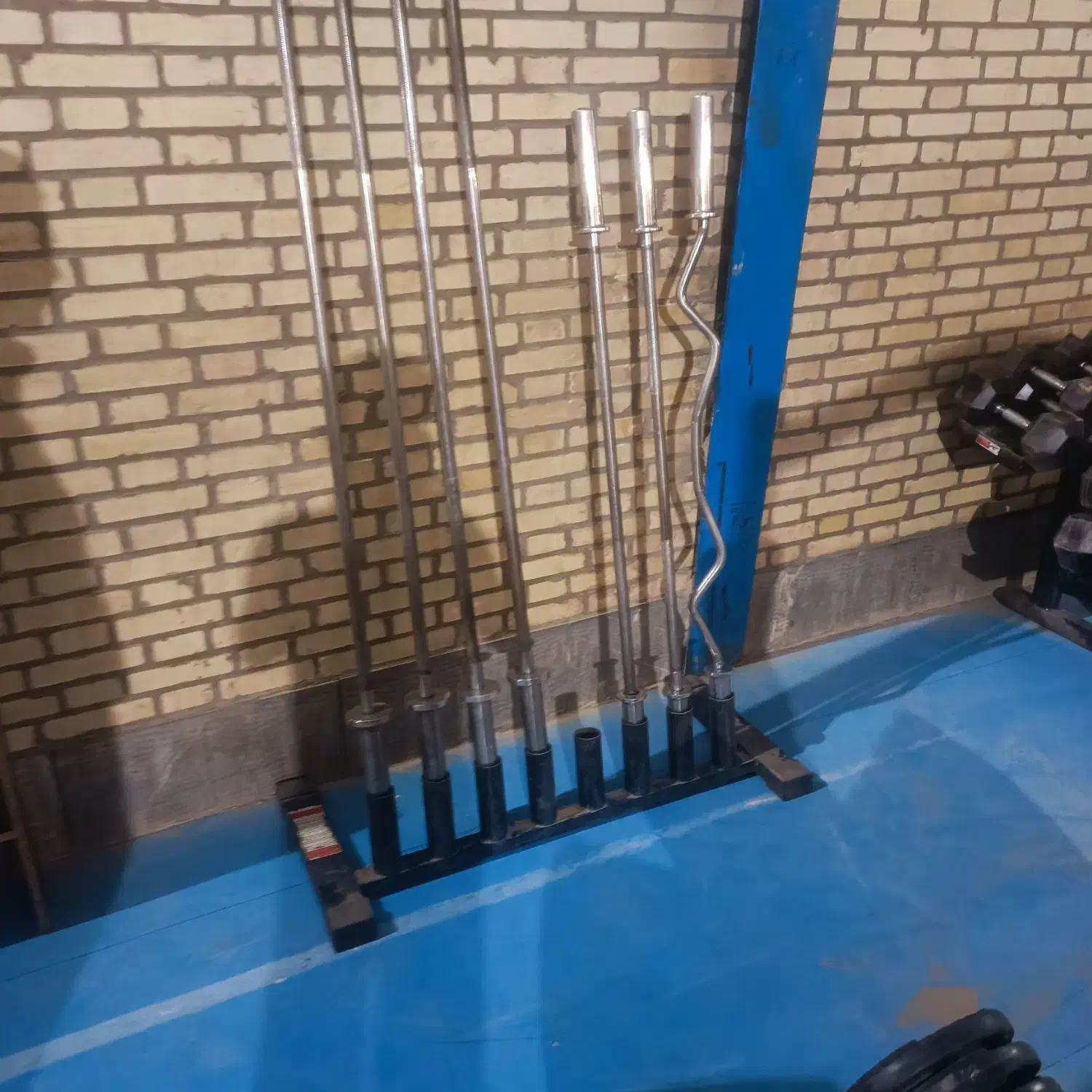 باشگاه بدنسازی جارو کش|تجهیزات ورزشی|تایباد, |دیوار