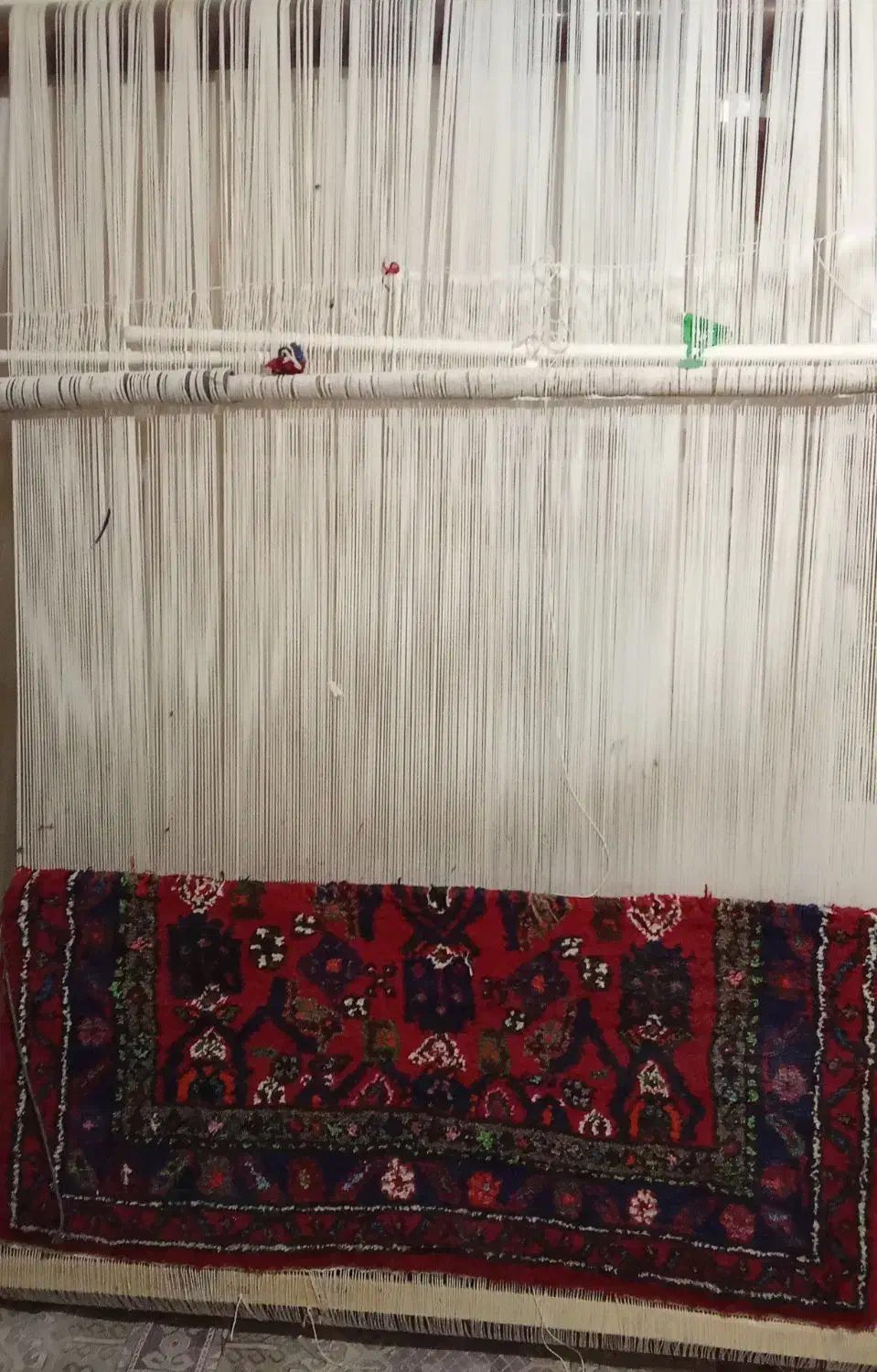 فرش|فرش|سلطانیه, |دیوار