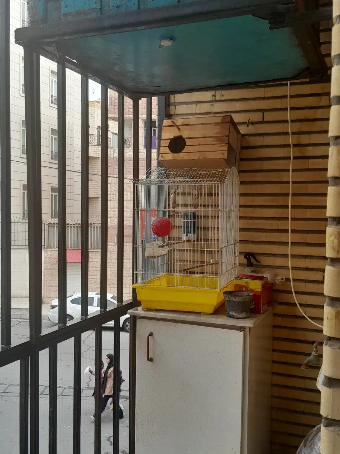 قفس پرنده|لوازم جانبی حیوانات|فردیس, ثابتی|دیوار