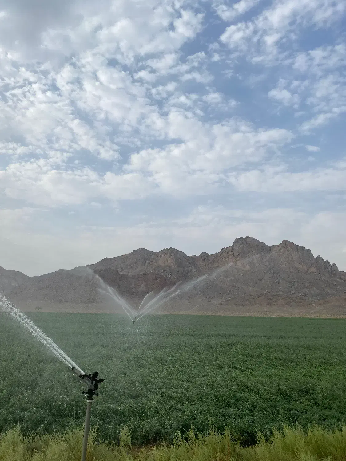 کارگر کشاورزی|استخدام صنعتی، فنی، مهندسی|بوانات, |دیوار