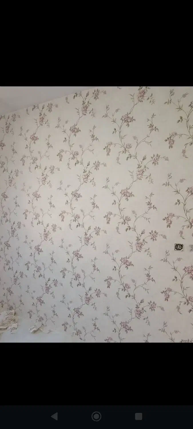 کاغذ دیواری از رولی ۲۵۰الی 750|خدمات پیشه و مهارت|بجنورد, |دیوار