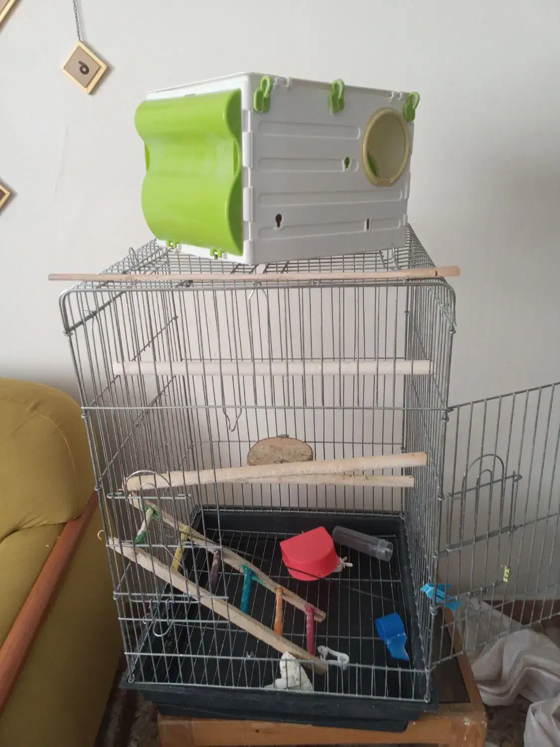 قفس پرنده|لوازم جانبی حیوانات|مهاجران, |دیوار