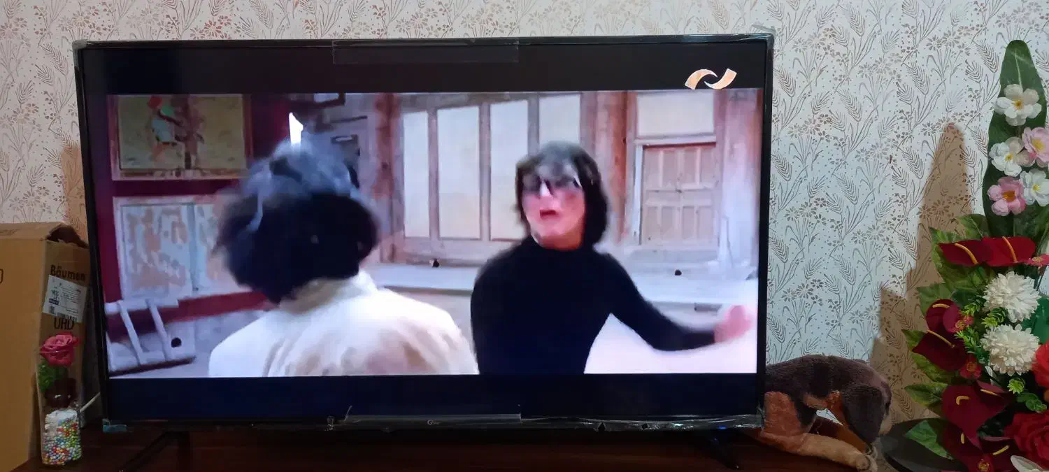 تلوزیون جی پلاس درحدفروشی|تلویزیون و پروژکتور|قوچان, |دیوار