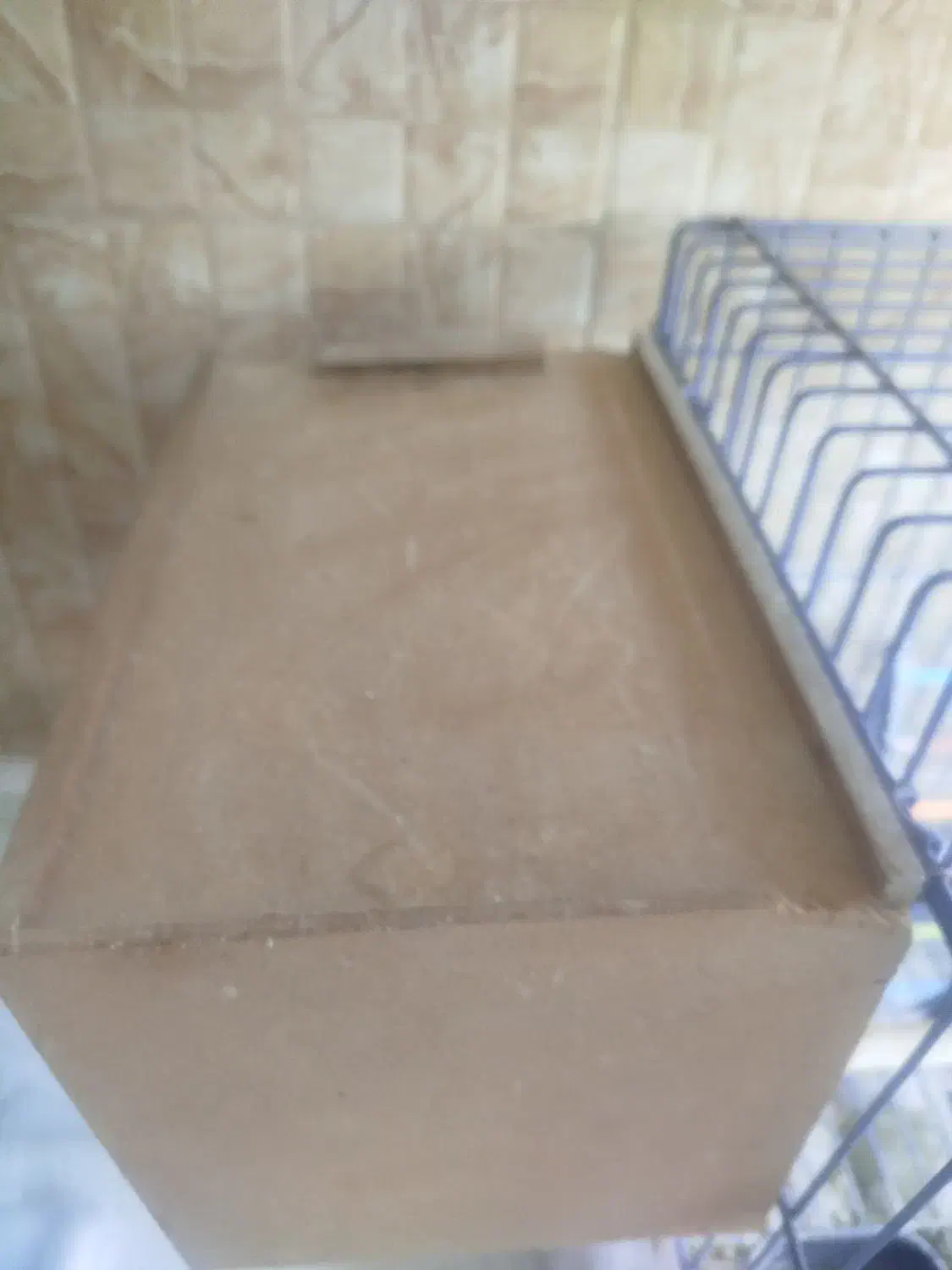 دو عدد عروس هلندی نر و ماده با قفس|پرنده|رودهن, |دیوار