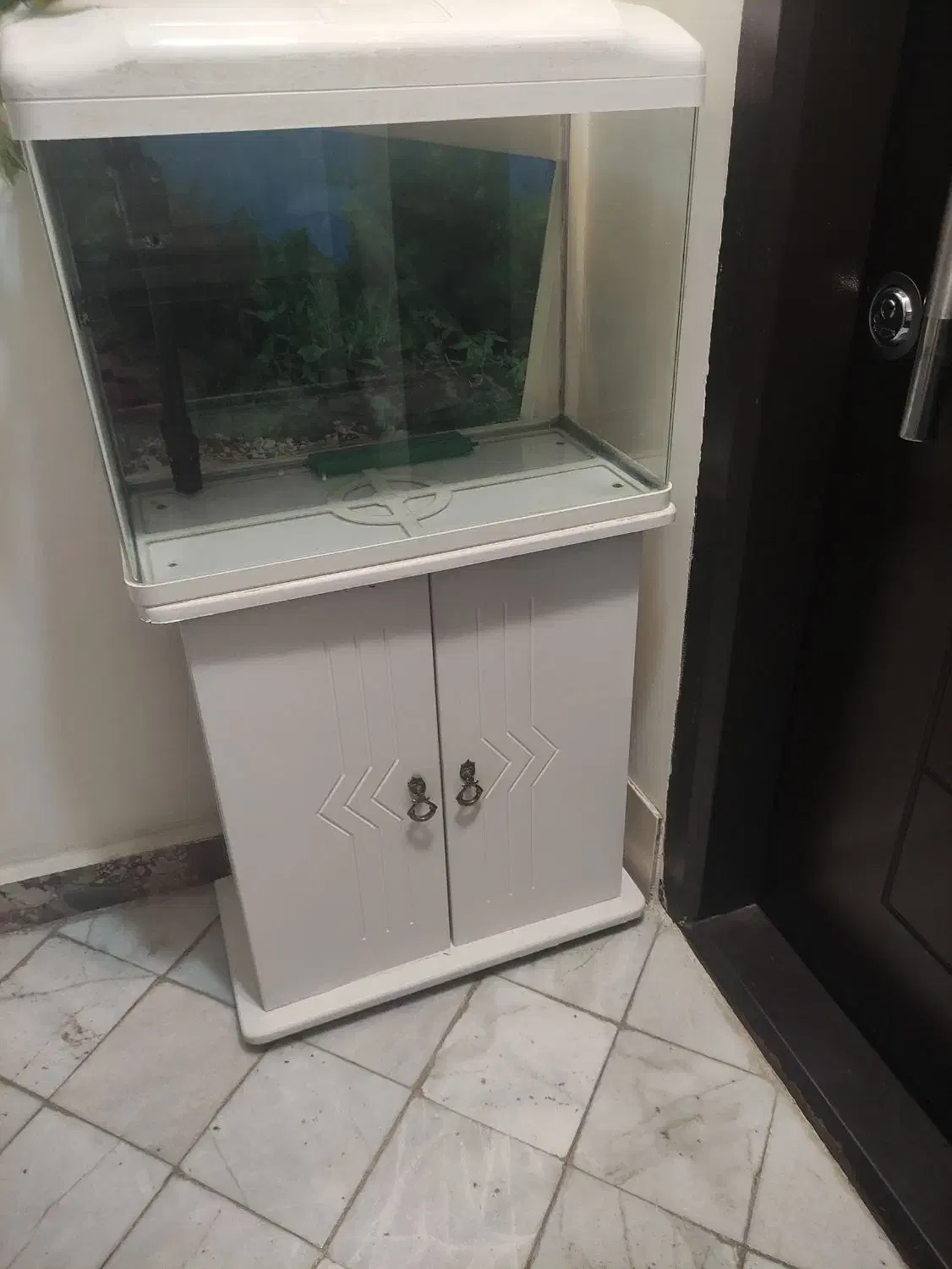 دو عدد آکواریوم|ماهی|مشهد, امام رضا (ع)|دیوار