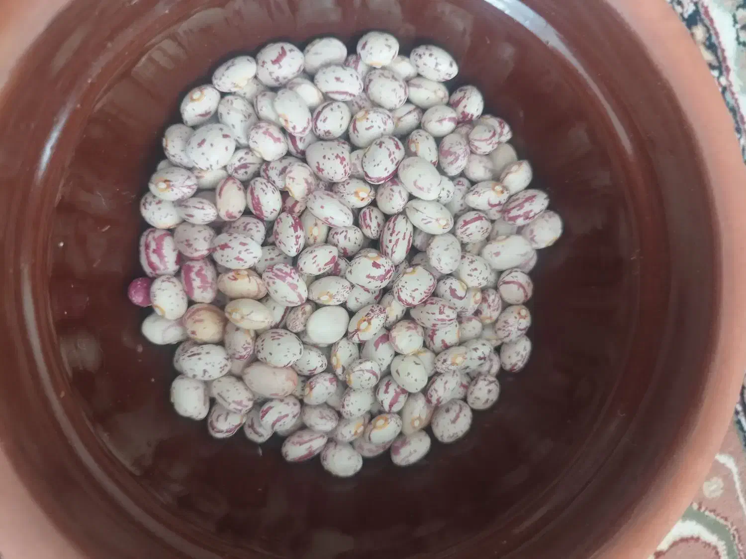 لوبیا چیتی اعلا بوجاری شده|خوردنی و آشامیدنی|تهران, عباسی|دیوار