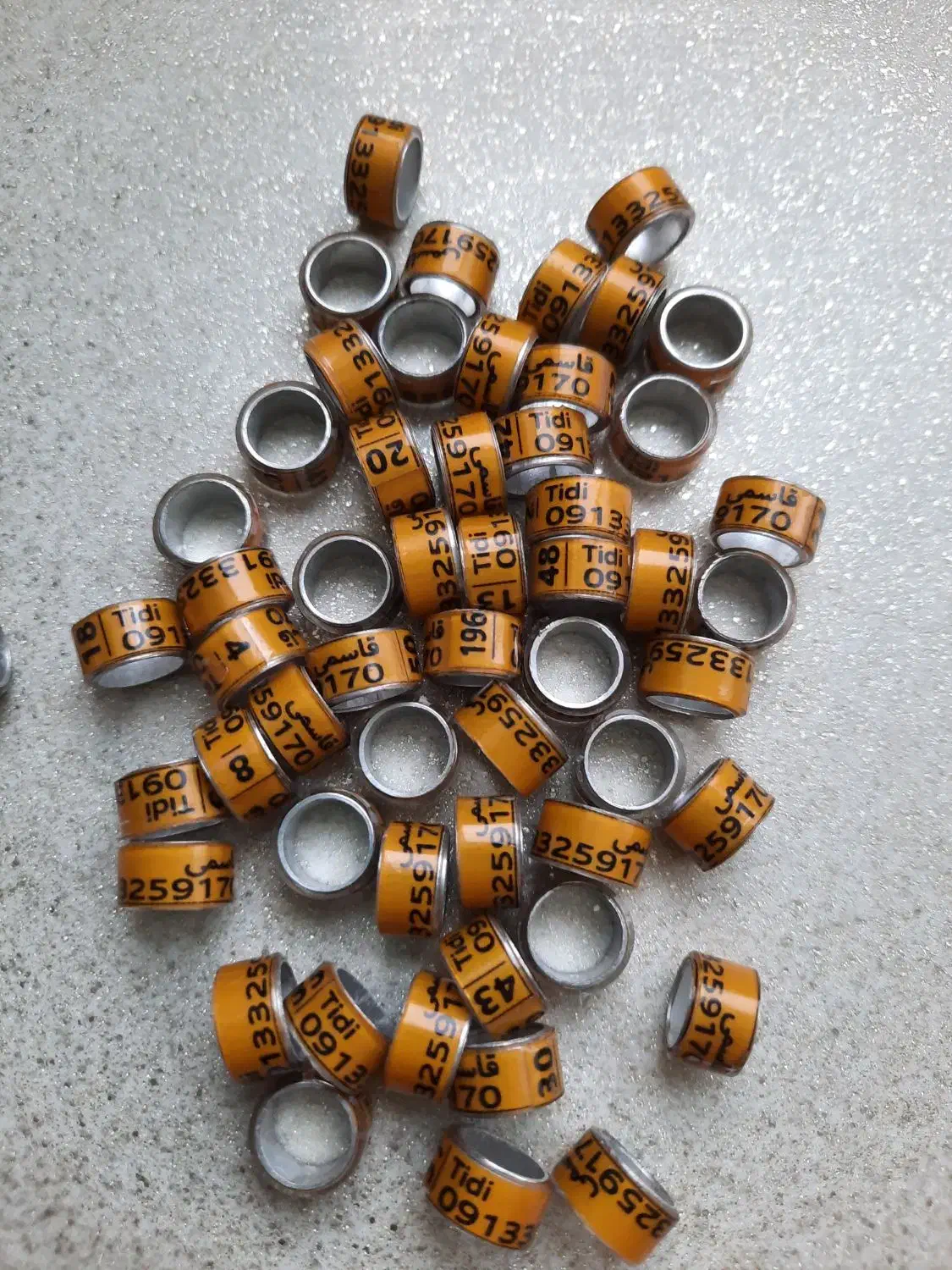 حلقه و پلاک کبوترقم زحمتکش|لوازم جانبی حیوانات|تهران, باشگاه نفت|دیوار